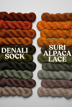 MONOCHROME WARM ENTIRE Palette Full Skein Set (PREORDER!)