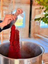 INTERMEZZO: Denmark 2026 Trip Deposit 🇩🇰