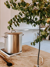 INTERMEZZO: Denmark 2026 Trip Deposit 🇩🇰