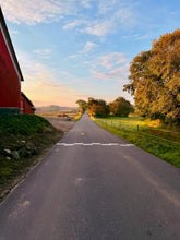 INTERMEZZO: Denmark 2026 Trip Deposit 🇩🇰