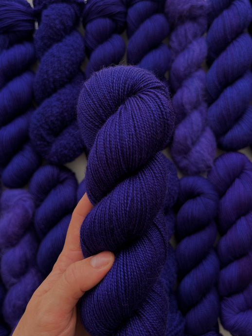 Butterfly Pea Flower