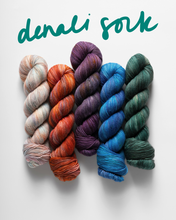 Butter VARIEGATED Palette Full Skein Set (PREORDER!)