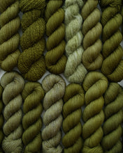 Don't Lose Sight of Who You Are (PREORDER!)