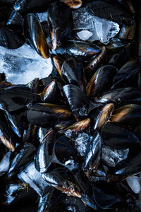 Freshwater Mussels