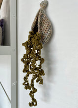 Crochet Hanging Plants